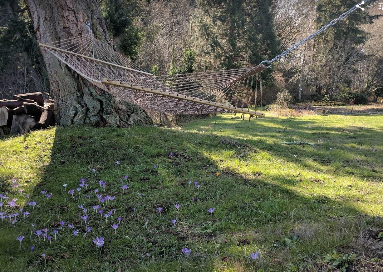 The Bluff On Whidbey Bed and Breakfast Oak Harbor Εξωτερικό φωτογραφία